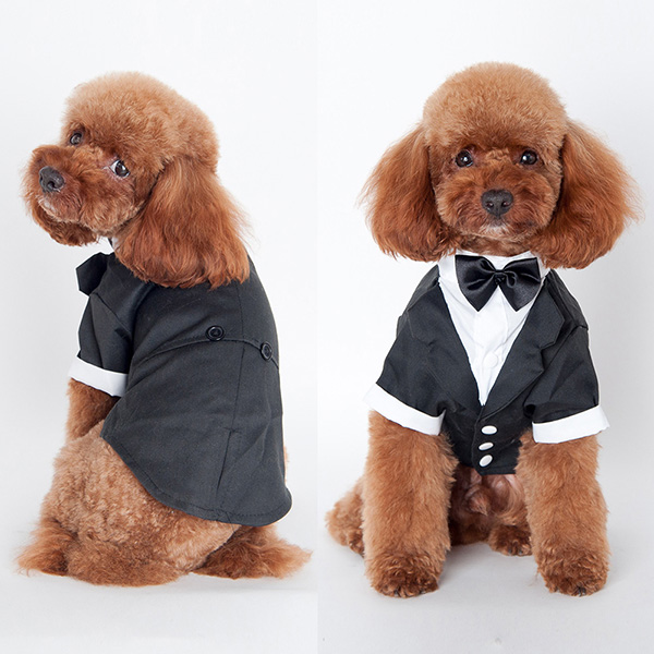 Hot Pet Dogs Cat Clothing Prince Wedding Suit Tuxedo Bow Tie Puppy